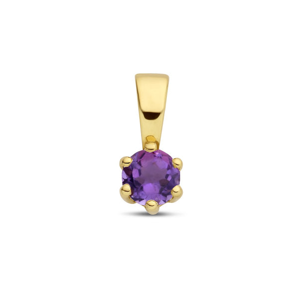Met geboortesteen hanger FEBRUARI: Amethist - 14 karaat geelgouden amethist hanger - Hutjens - 14k Geelgoud