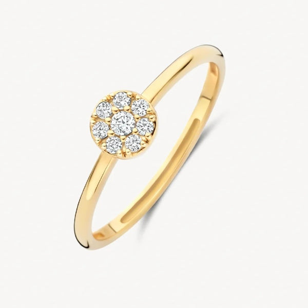 Ring - Blush - 14k Geelgoud