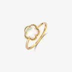 Ring - Blush - 14k Geelgoud