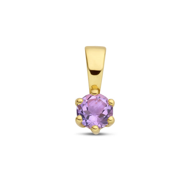 Met geboortesteen hanger JUNI: Lichte Amethist - 14 karaat geelgouden lichte  amethist hanger - Hutjens - 14k Geelgoud