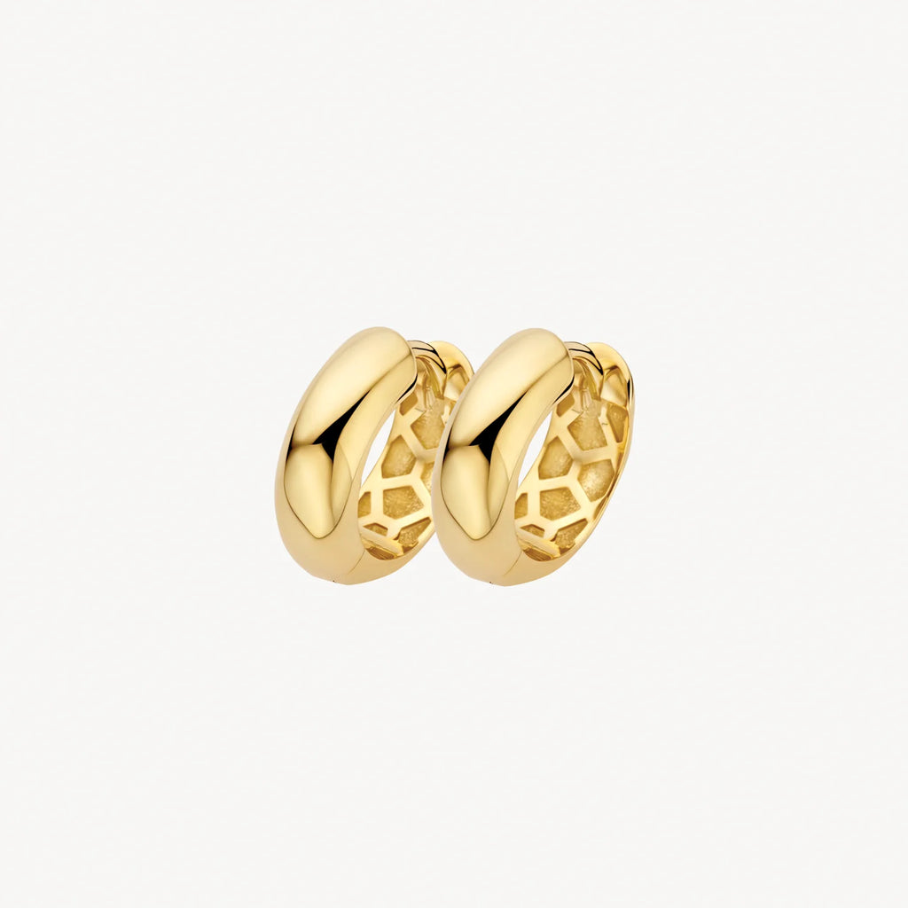 Oorstekers - Blush - 14k Geelgoud