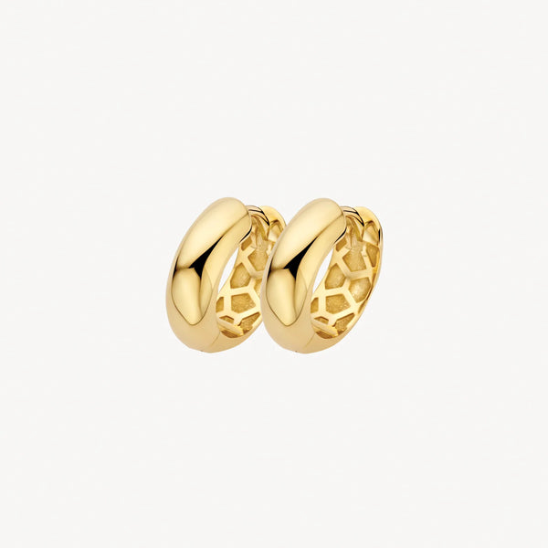 Oorstekers - Blush - 14k Geelgoud