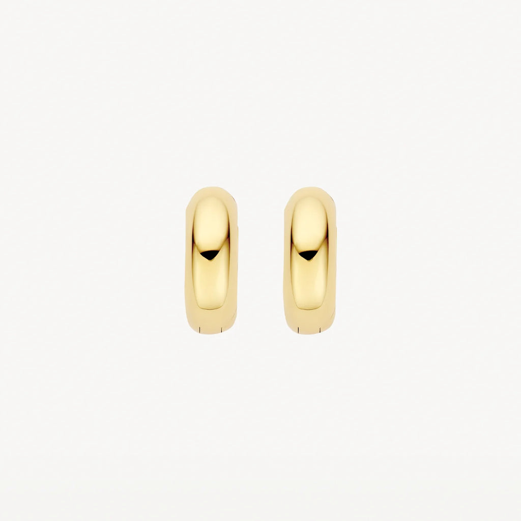 Oorstekers - Blush - 14k Geelgoud