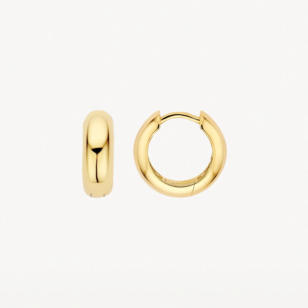 Oorstekers - Blush - 14k Geelgoud