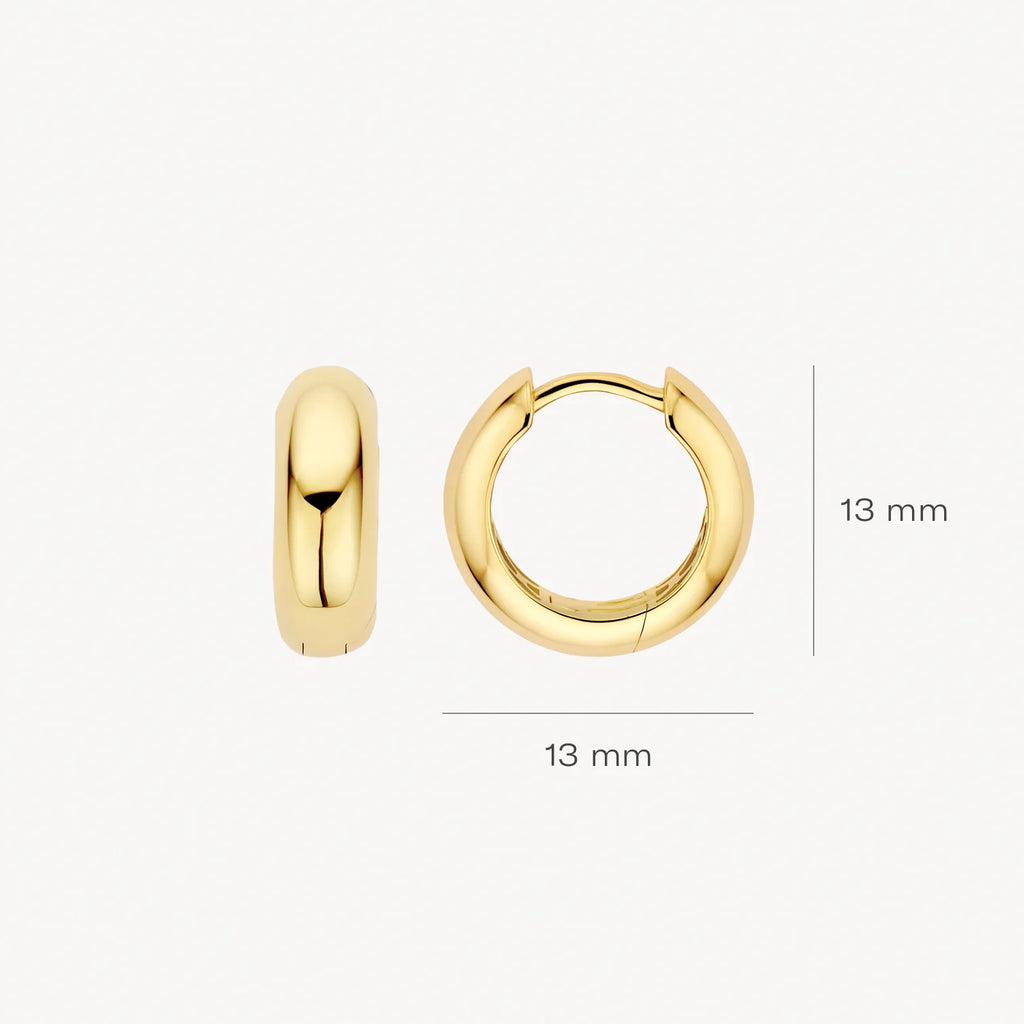 Oorstekers - Blush - 14k Geelgoud