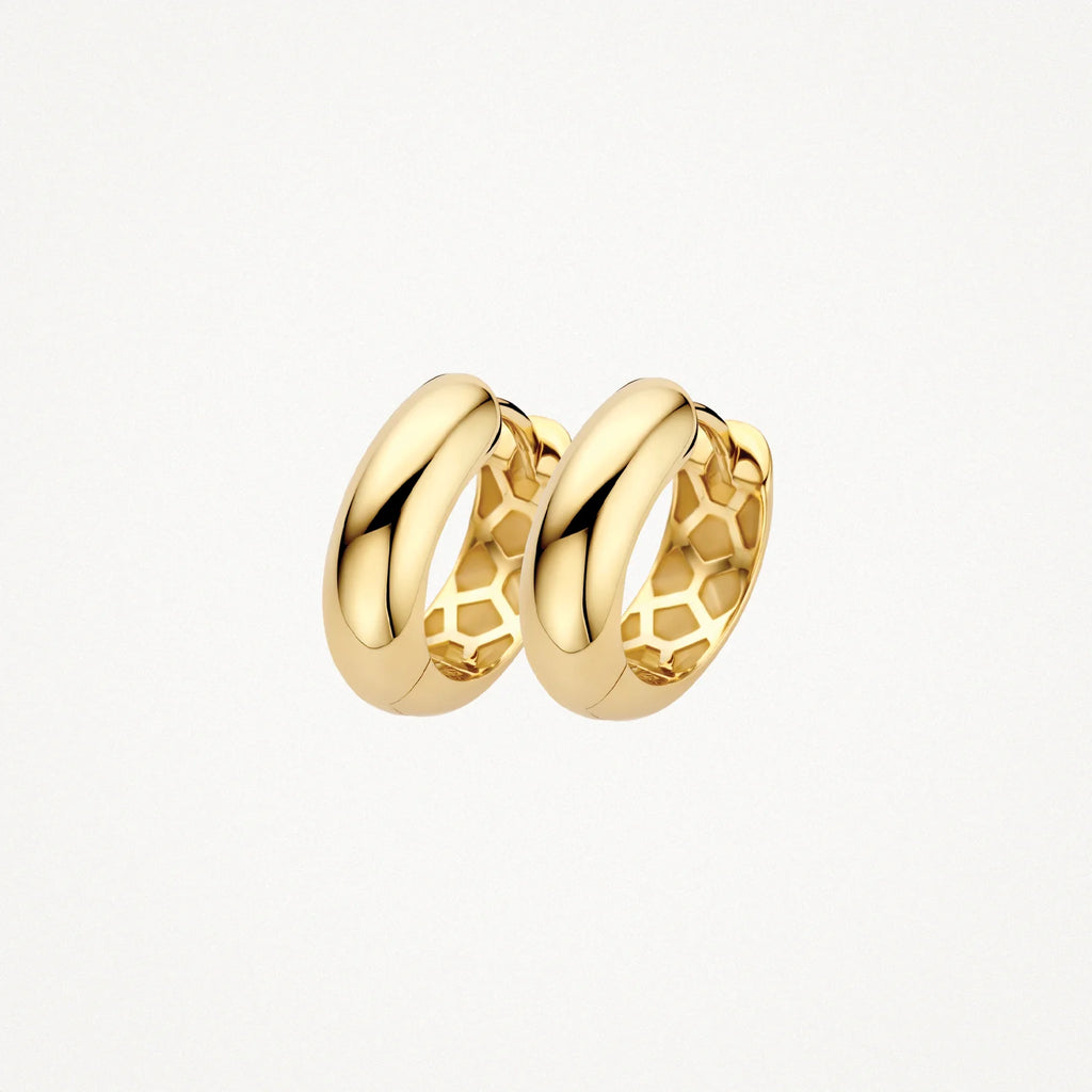 Oorstekers - Blush - 14k Geelgoud