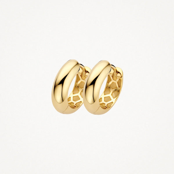 Oorstekers - Blush - 14k Geelgoud