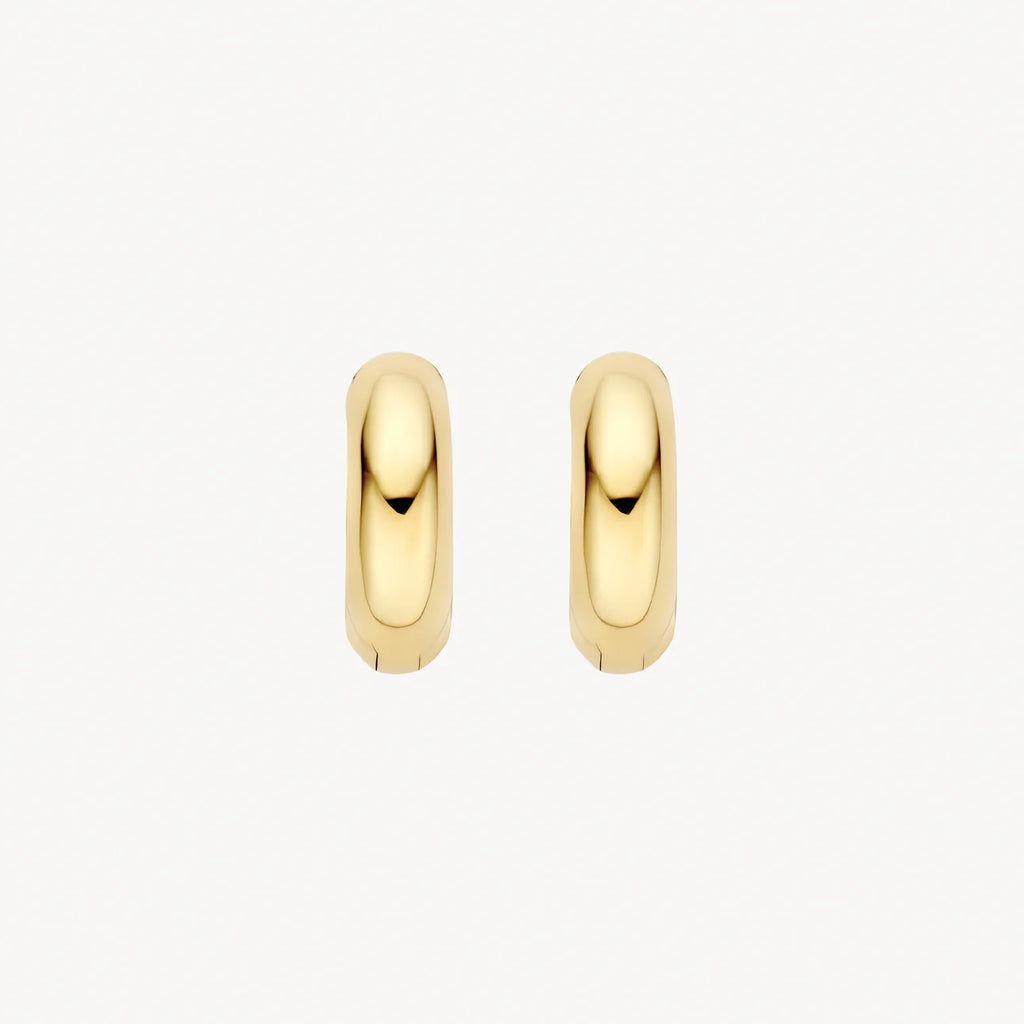 Oorstekers - Blush - 14k Geelgoud