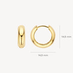 Oorstekers - Blush - 14k Geelgoud