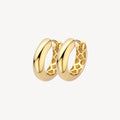 Oorstekers - Blush - 14k Geelgoud
