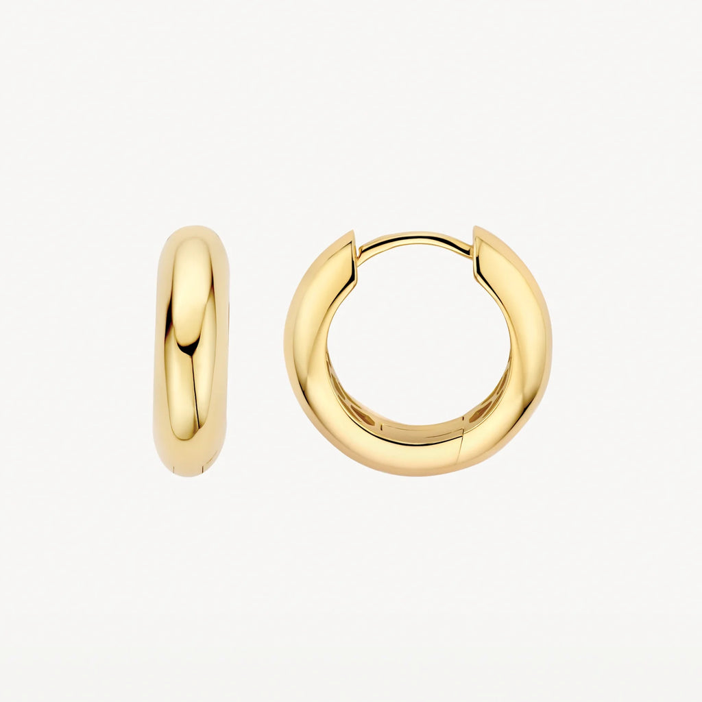 Oorstekers - Blush - 14k Geelgoud