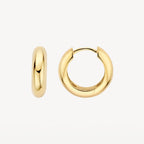 Oorstekers - Blush - 14k Geelgoud
