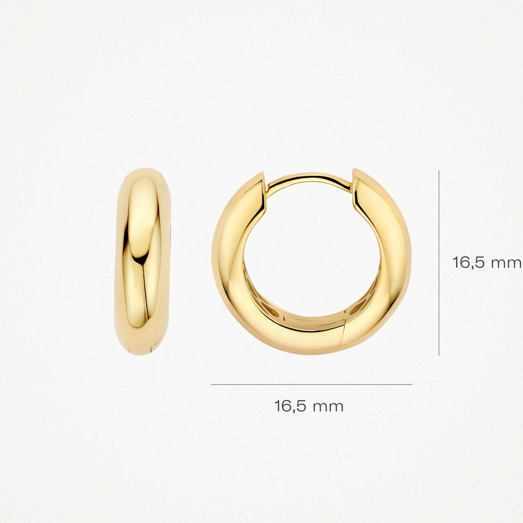 Oorstekers - Blush - 14k Geelgoud