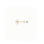 Oorstekers - Blush - 14k Geelgoud