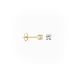 Oorstekers - Blush - 14k Geelgoud