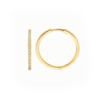 Oorstekers - Blush - 14k Geelgoud