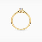Ring - Blush Lab Grown - 14k Geelgoud