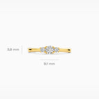 Ring - Blush Lab Grown - 14k Geelgoud