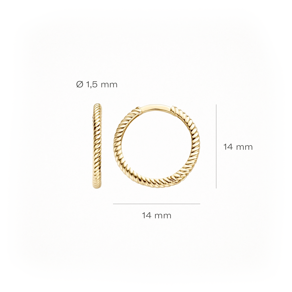 Oorstekers - Blush - 14k Geelgoud