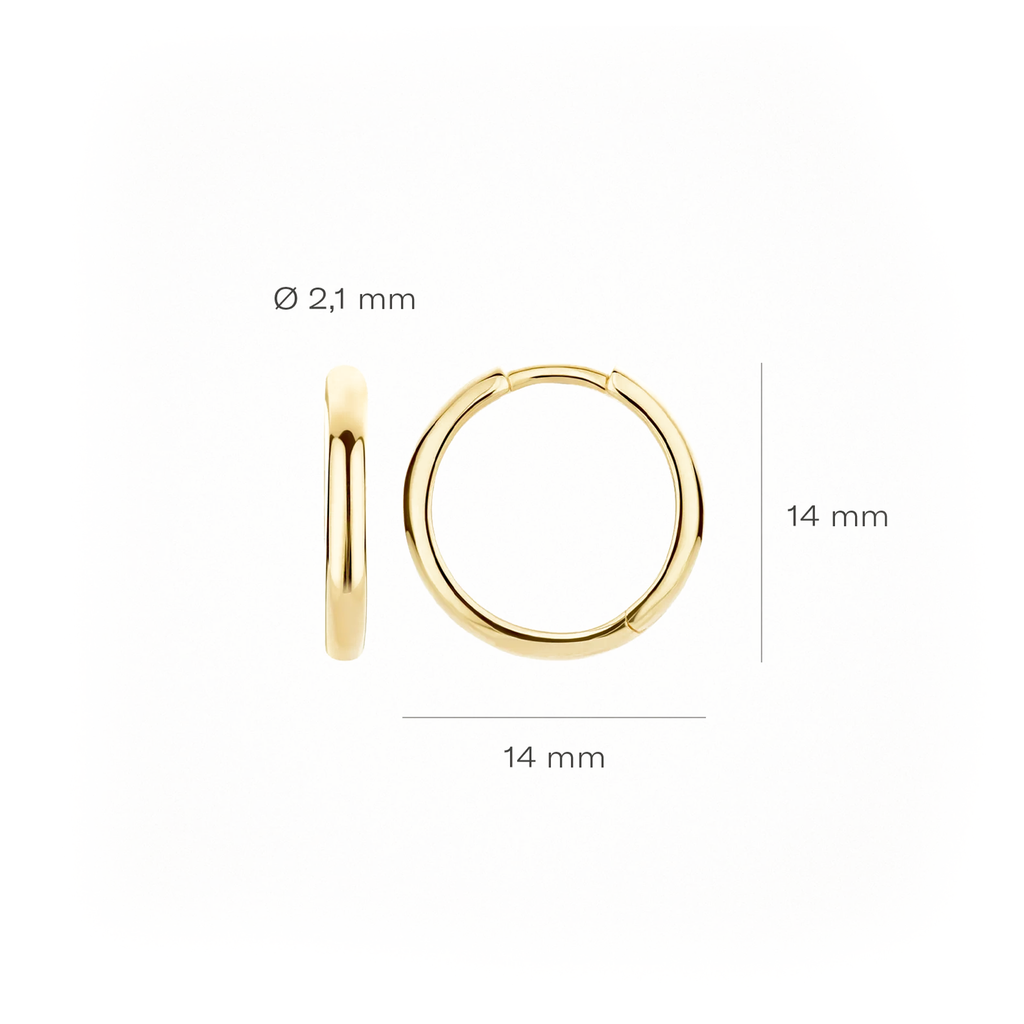 Oorstekers - Blush - 14k Geelgoud