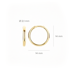 Oorstekers - Blush - 14k Geelgoud
