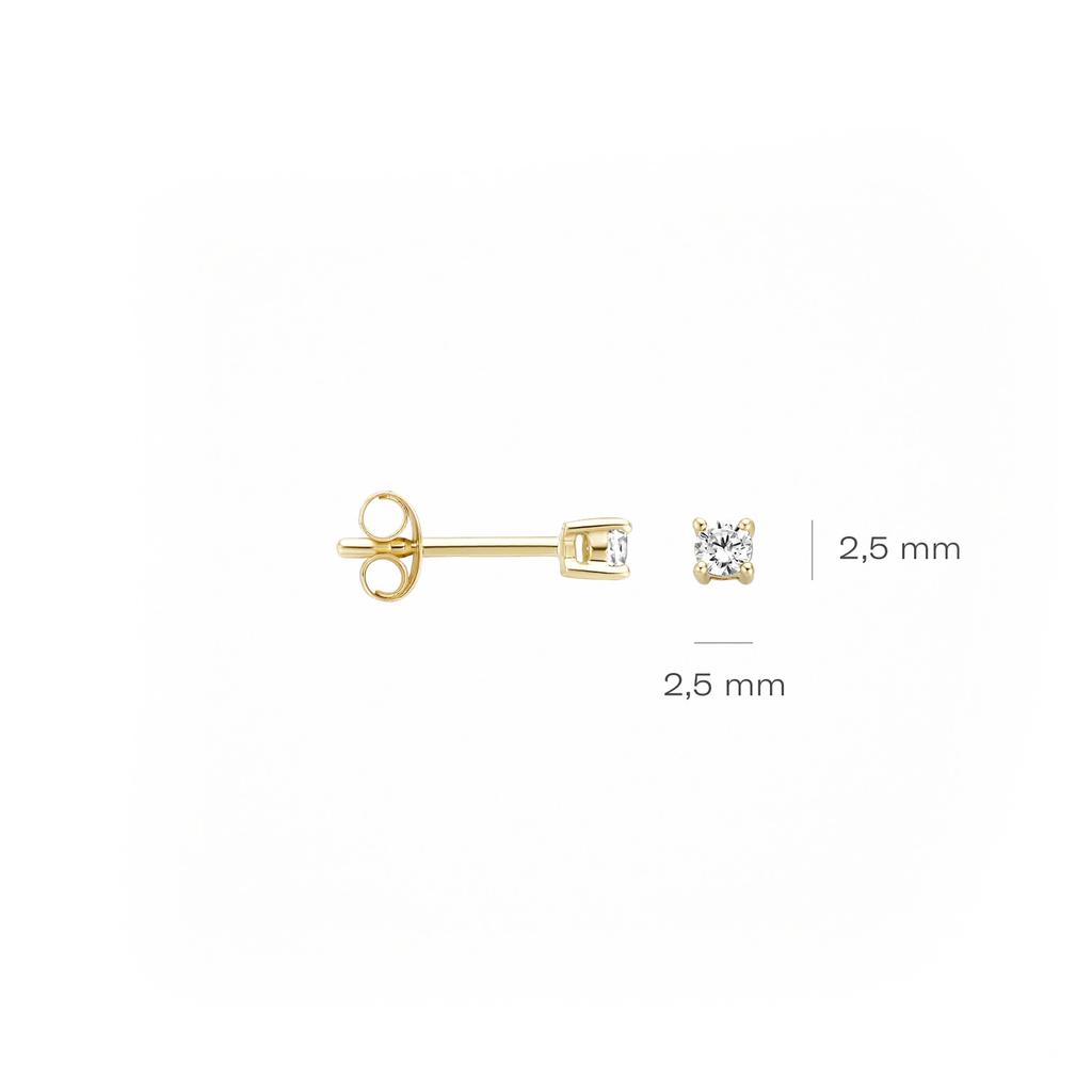 Oorstekers - Blush - 14k Geelgoud