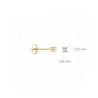 Oorstekers - Blush - 14k Geelgoud