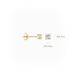 Oorstekers - Blush - 14k Geelgoud