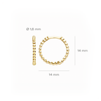 Oorstekers - Blush - 14k Geelgoud
