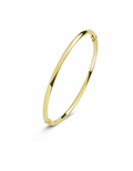 Rond 3 mm - Bangle armband - Fjory - 14k Geelgoud