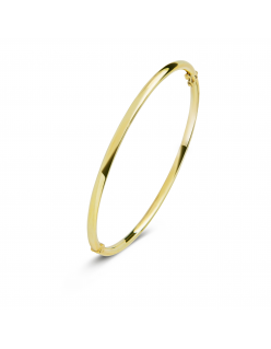 Rond 4 mm - Bangle armband - Fjory - 14k Geelgoud