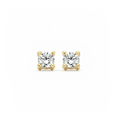 Oorstekers - Blush - 14k Geelgoud
