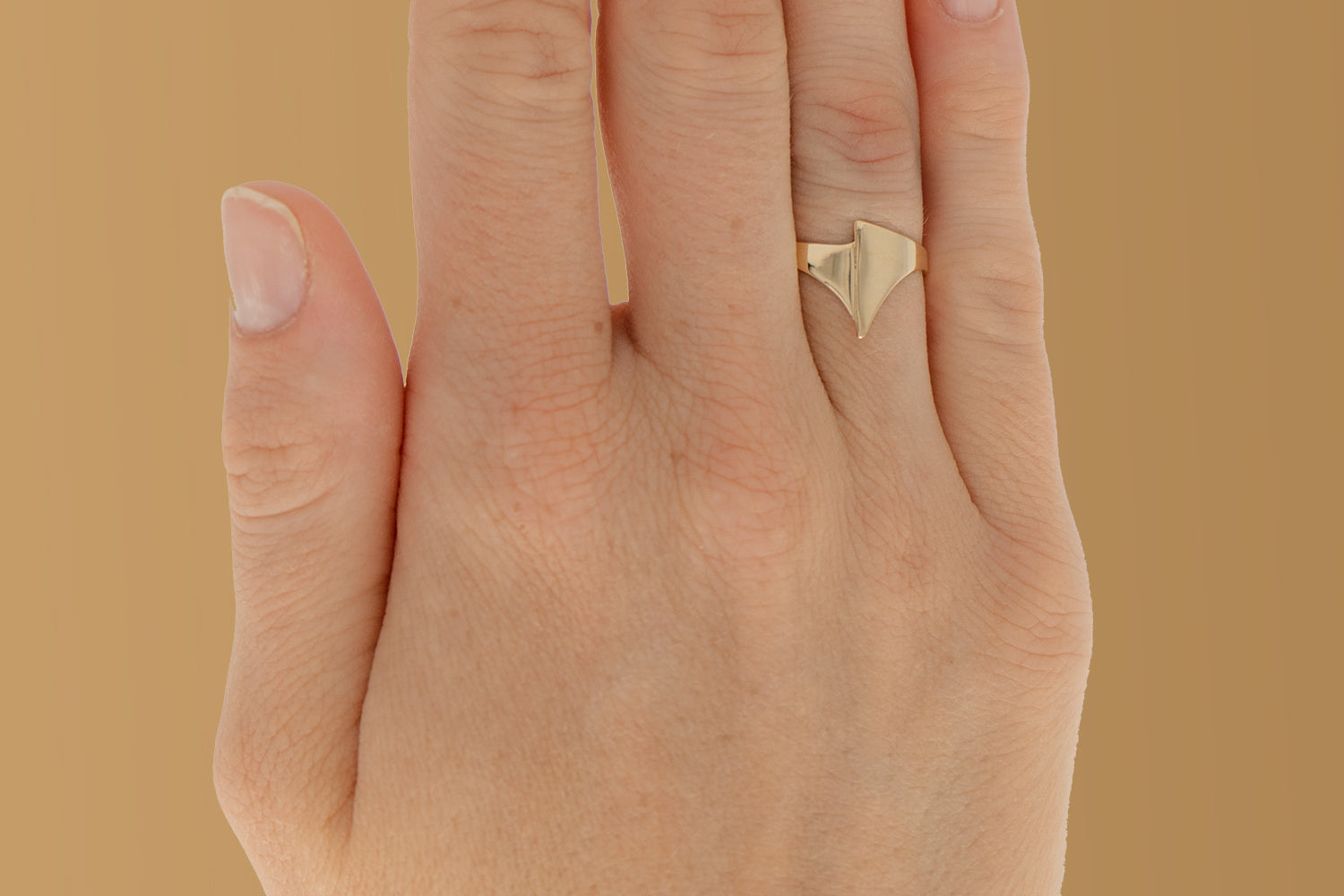 ArchiH2131Hand