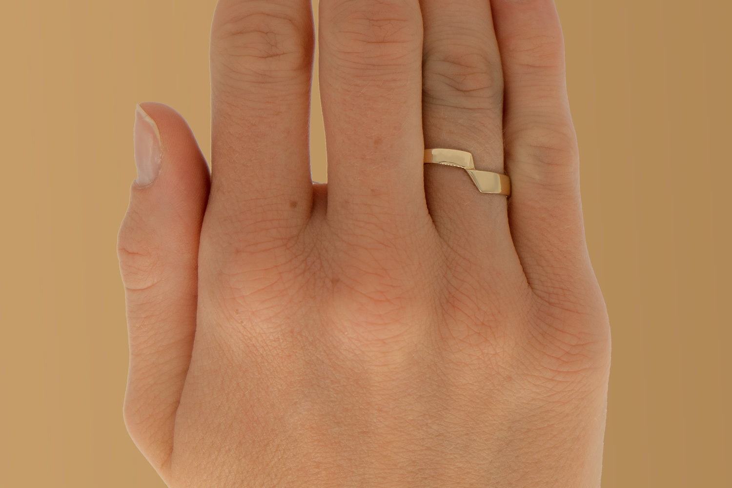 ArchiH2172Hand