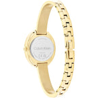 CK25100056-