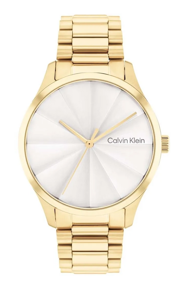 Burst - Calvin Klein - Roestvrij Staal - CK25200232