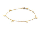 Discs armband