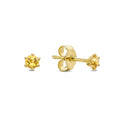 Citrien Studs