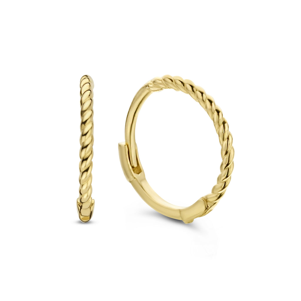 Mini Twist Hoops