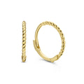 Mini Twist Hoops