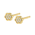 [M2532-3S4-P01] First Flower Earrings (Yellow Gold Plated)