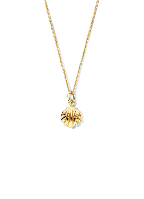 Met Seashell - Jackie - 14k Geelgoud